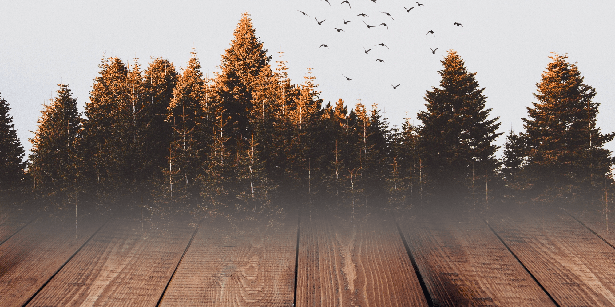 Fettfläckar på trägolv