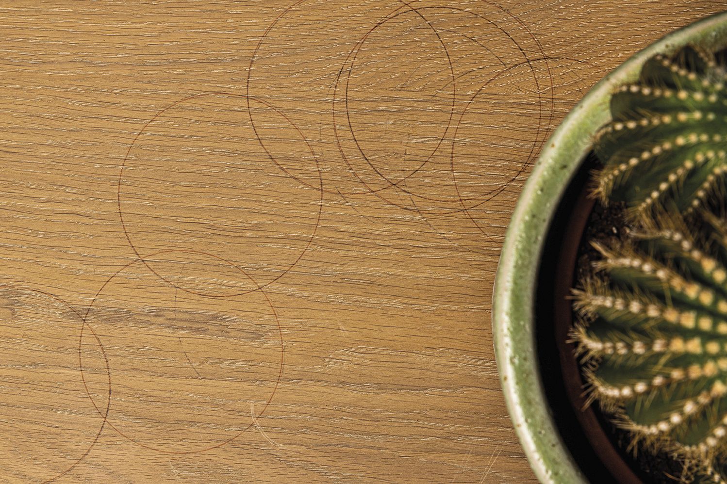 Behandling av ekträ