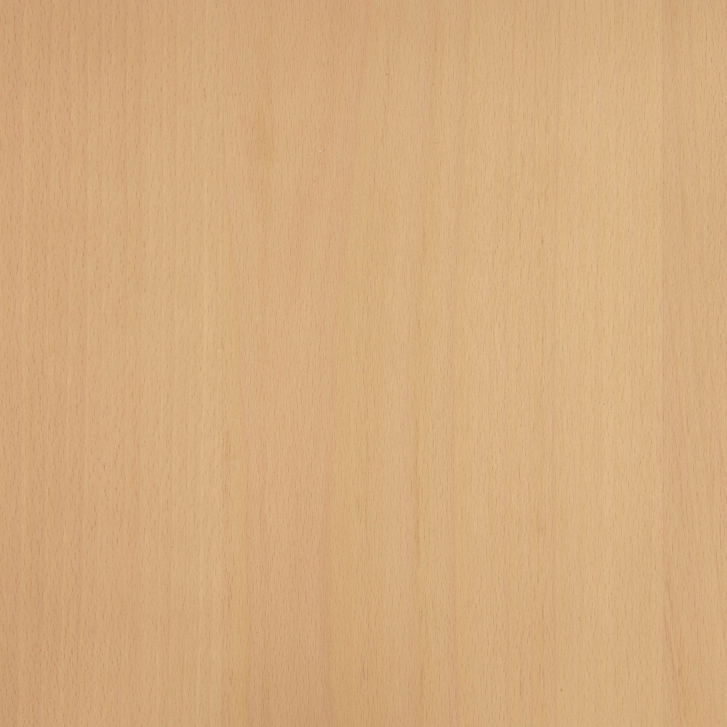 Beech