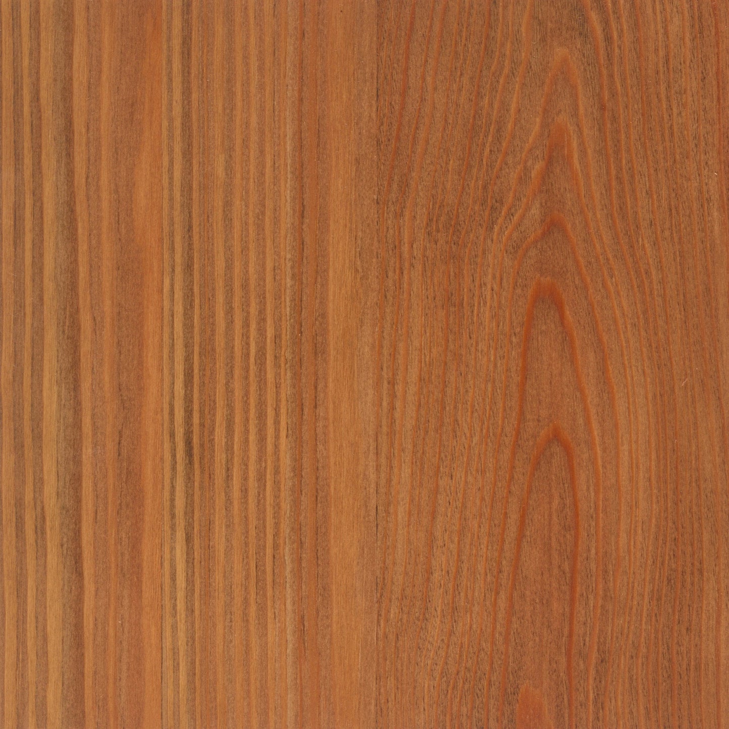 Larch