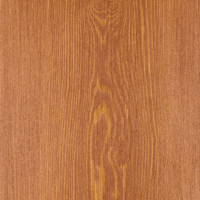 Larch